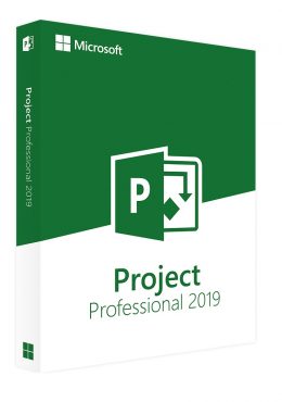 buy project 2019 professional