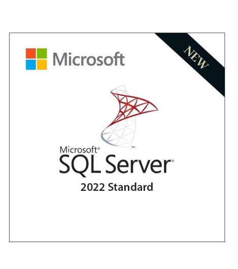 Microsoft SQL Server 2022 Standard - 24 Cores - DSP
